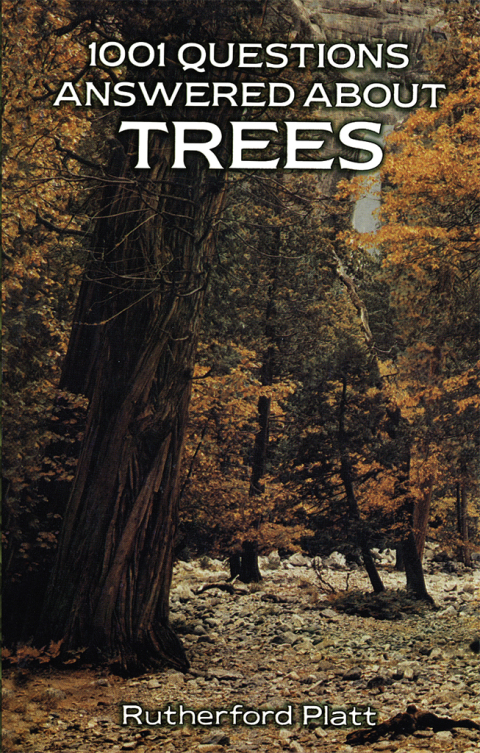 Cover image for book 1001 Questions Answered About Trees