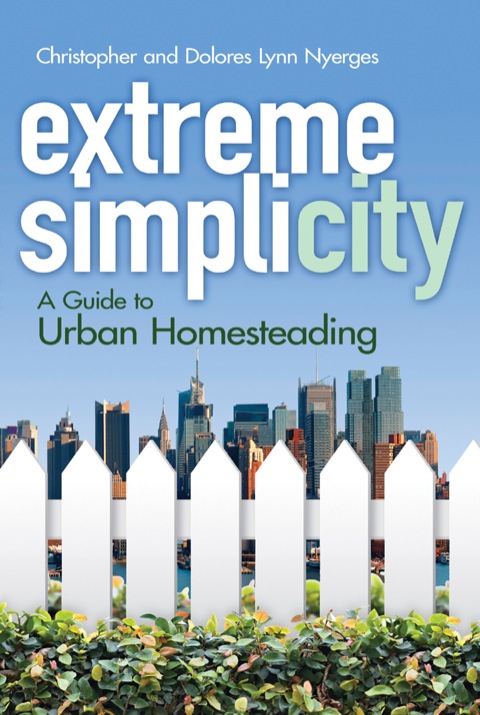Cover image for book Extreme Simplicity
