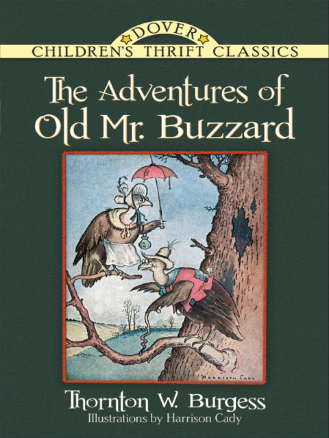 Cover image for book The Adventures of Old Mr. Buzzard