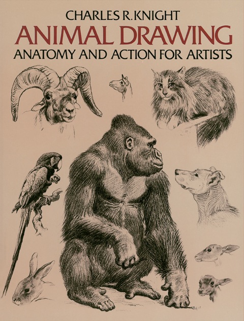 Cover image for book Animal Drawing