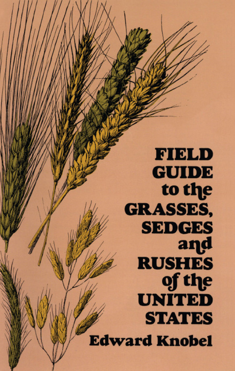 Cover image for book Field Guide to the Grasses, Sedges, and Rushes of the United States