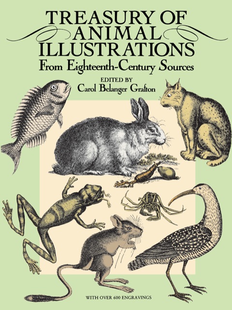 Cover image for book Treasury of Animal Illustrations