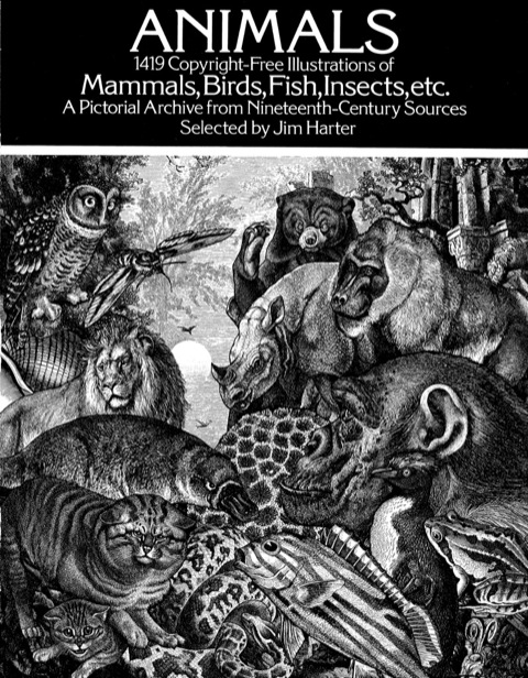 Cover image for book Animals