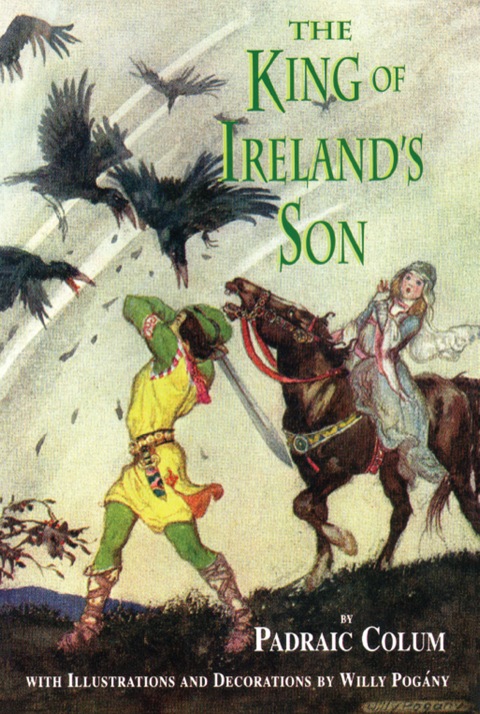 Cover image for book The King of Ireland's Son