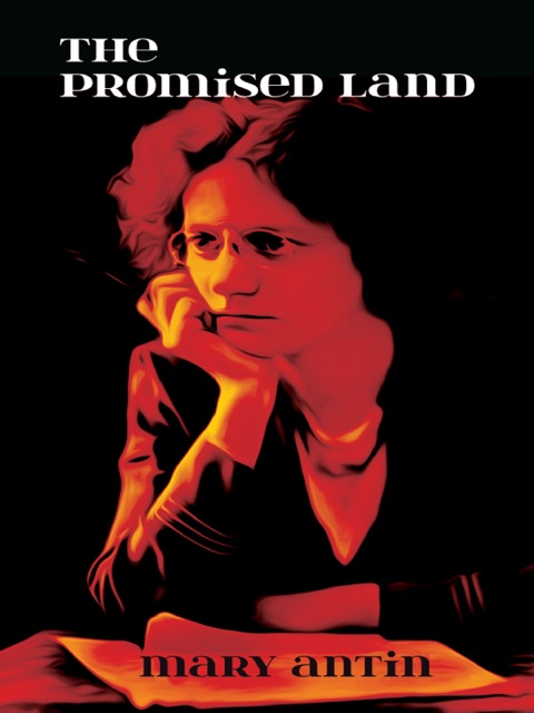 Cover image for book The Promised Land