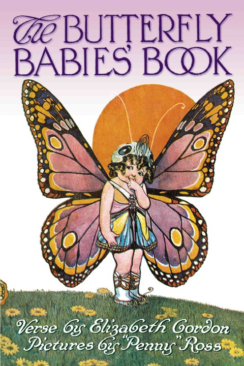 Cover image for book The Butterfly Babies' Book