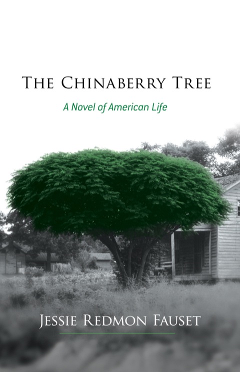 Cover image for book The Chinaberry Tree