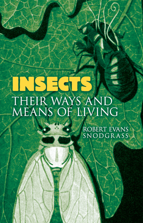 Cover image for book Insects