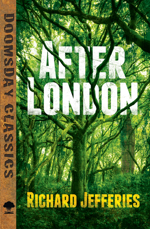 Cover image for book After London