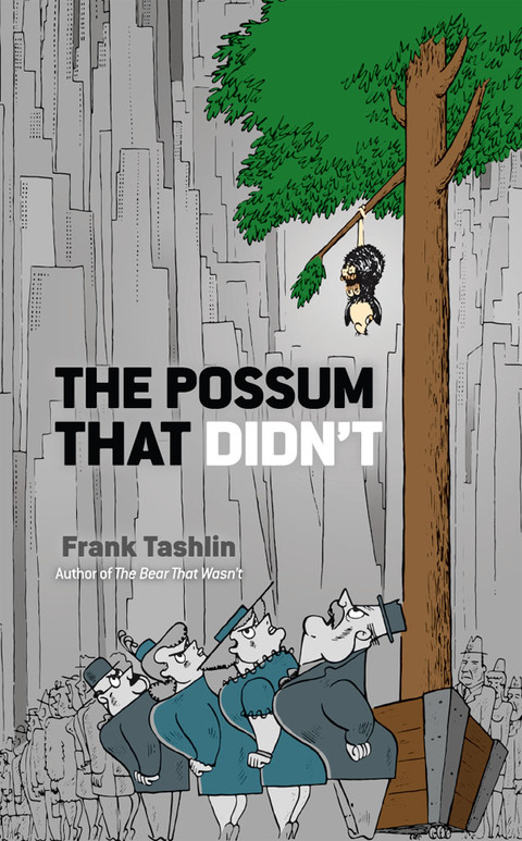 Cover image for book The Possum That Didn't