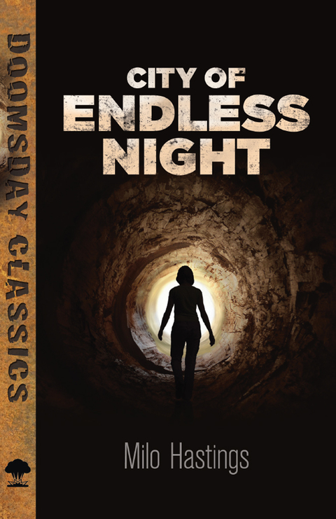 Cover image for book City of Endless Night
