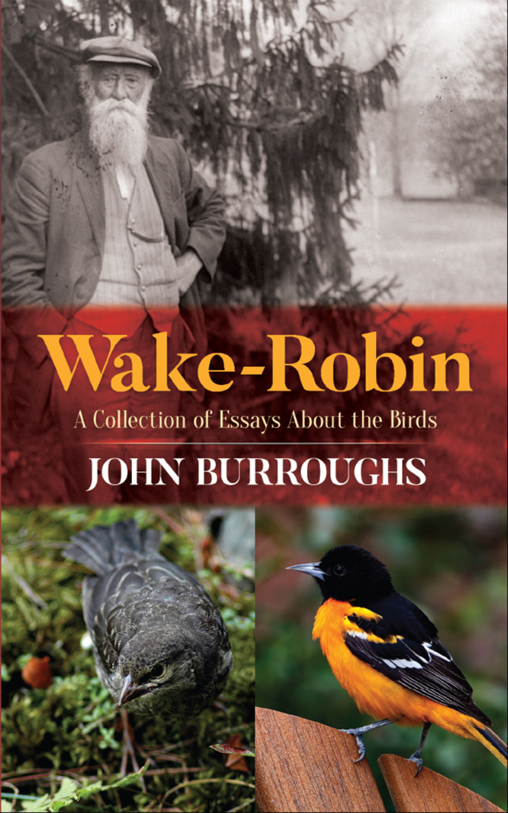 Wake-Robin (eBook) - John Burroughs,