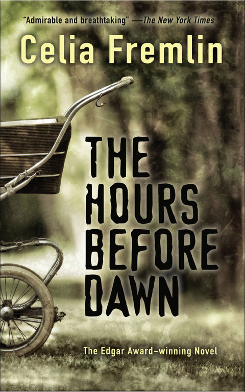 Cover image for book The Hours Before Dawn