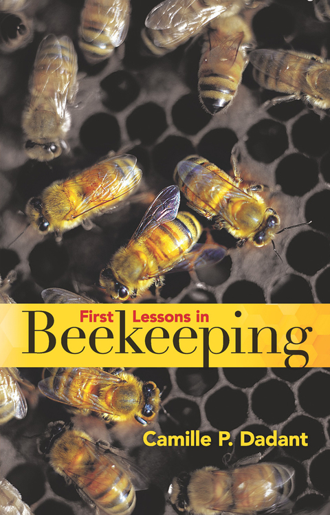 Cover image for book First Lessons in Beekeeping