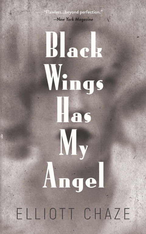 Cover image for book Black Wings Has My Angel
