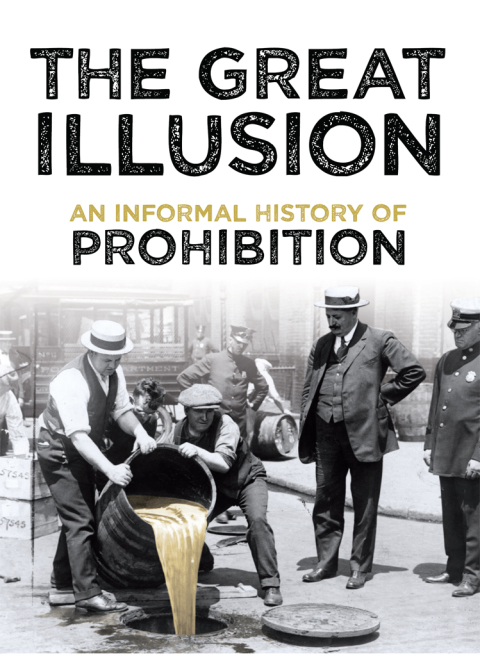 Cover image for book The Great Illusion