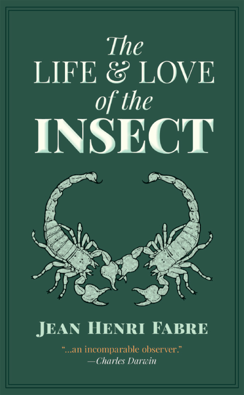 Cover image for book The Life and Love of the Insect