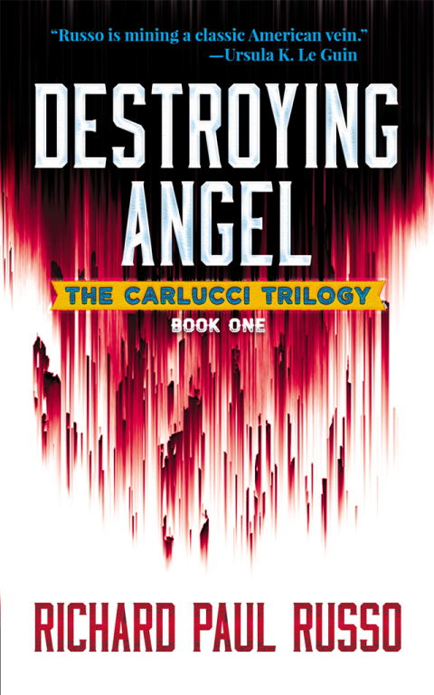 Cover image for book Destroying Angel