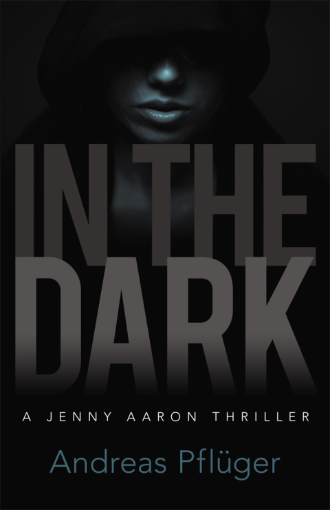 Cover image for book In the Dark