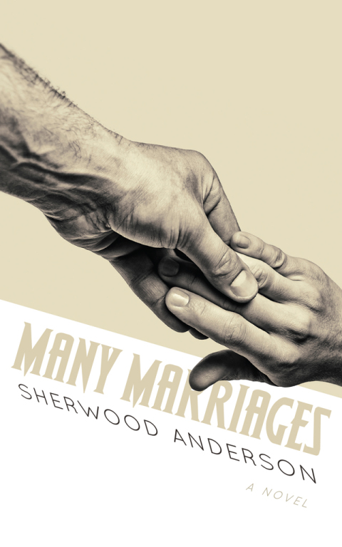 Cover image for book Many Marriages
