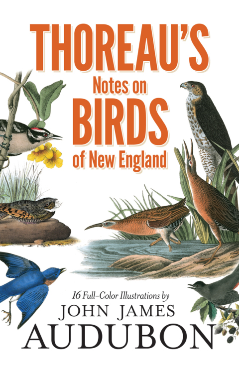 Cover image for book Thoreau's Notes on Birds of New England