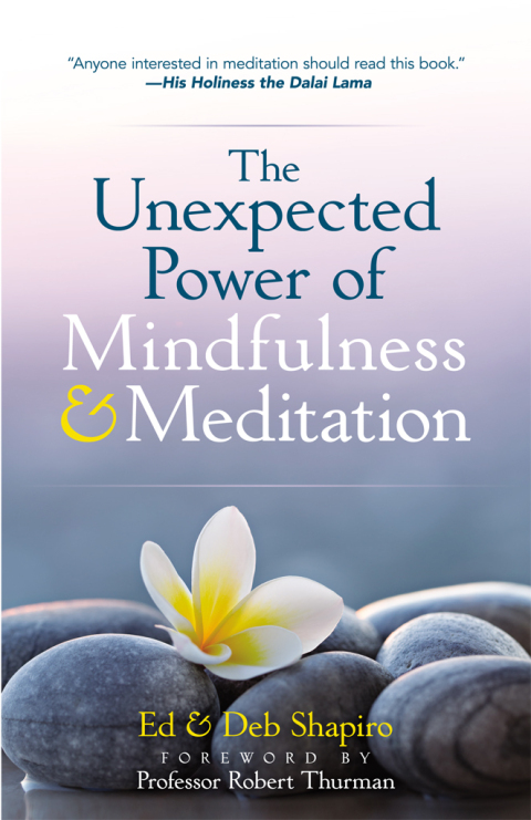 Cover image for book The Unexpected Power of Mindfulness and Meditation