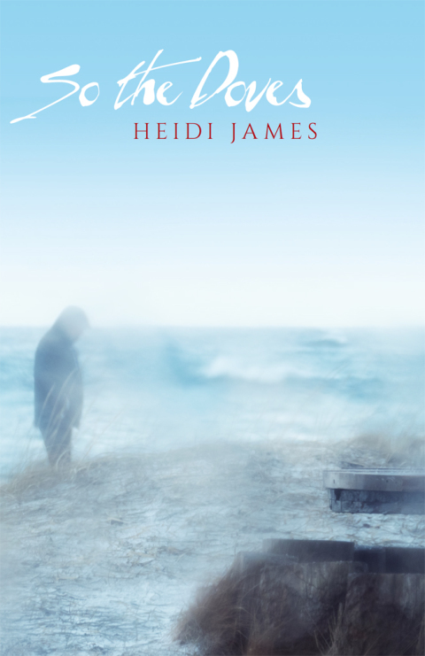 Cover image for book So the Doves