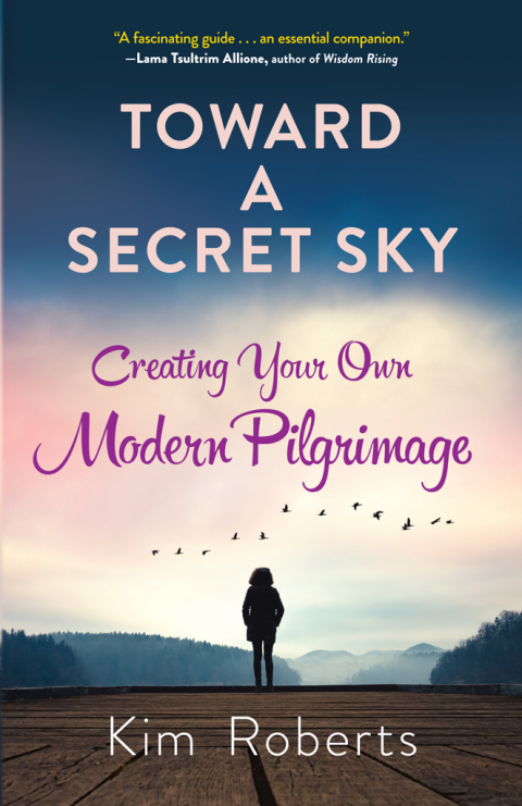 Cover image for book Toward a Secret Sky