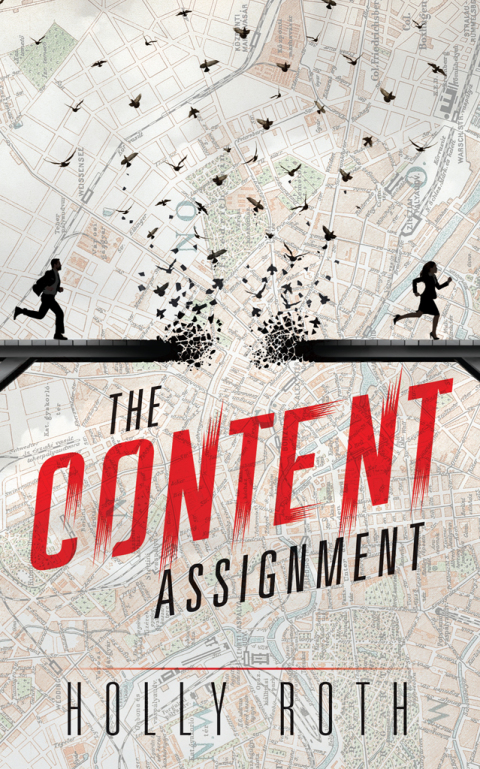 Cover image for book The Content Assignment