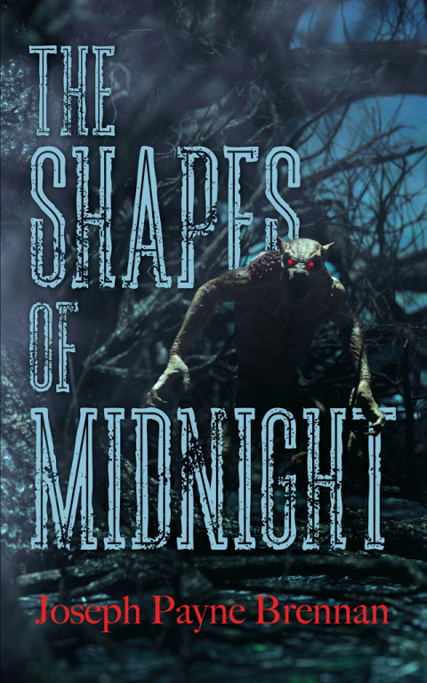 Cover image for book The Shapes of Midnight