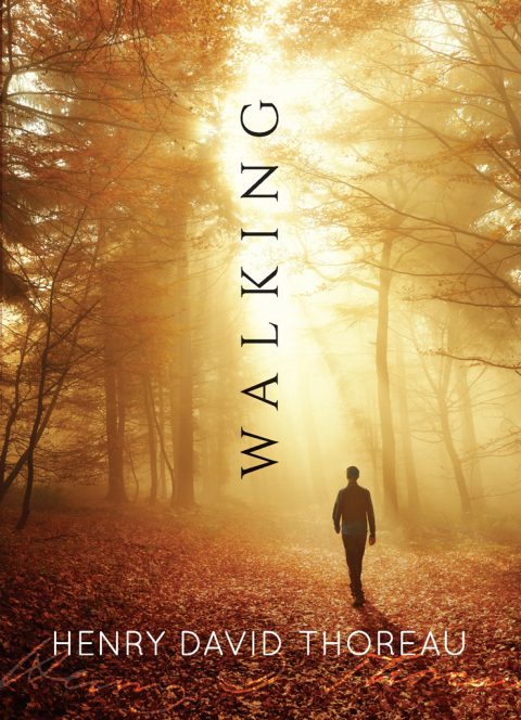 Cover image for book Walking