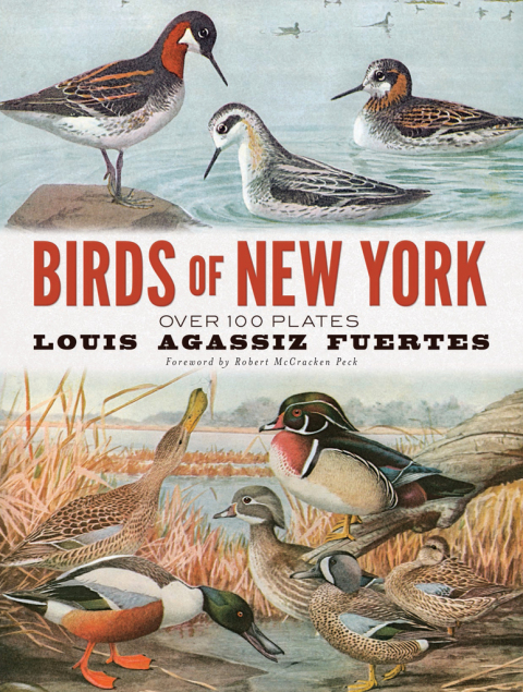 Cover image for book Birds of New York