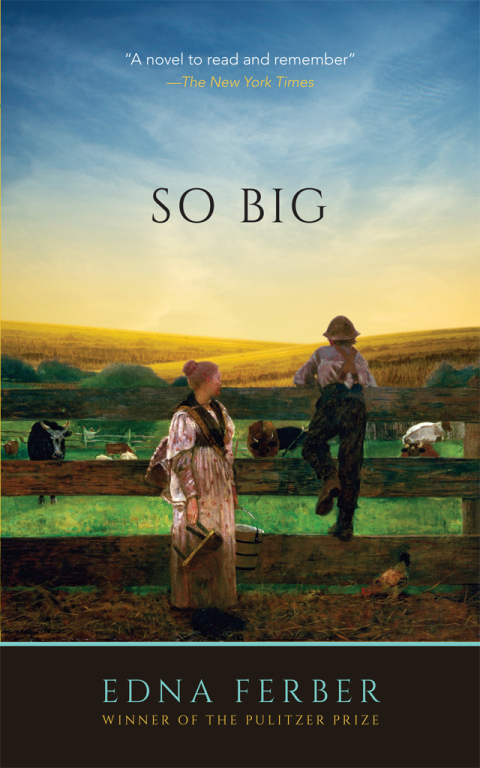 Cover image for book So Big