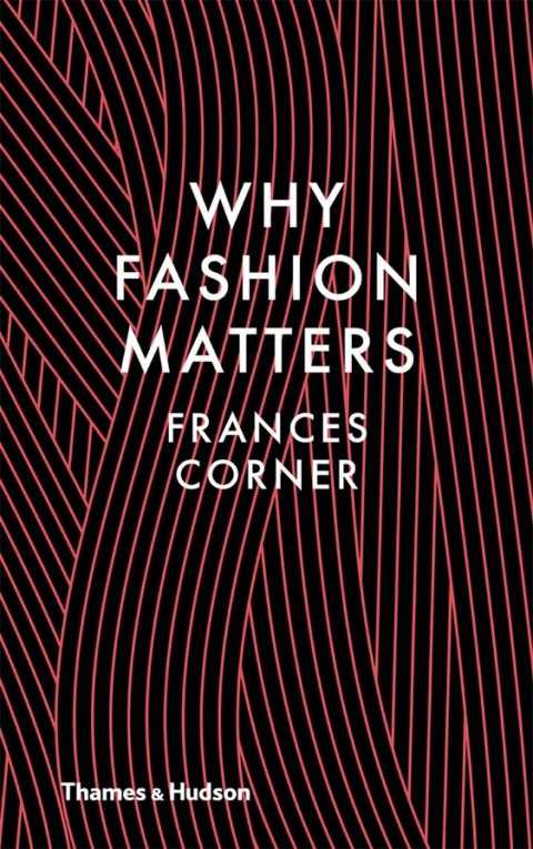 Cover image for book Why Fashion Matters