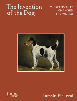 The Invention of the Dog