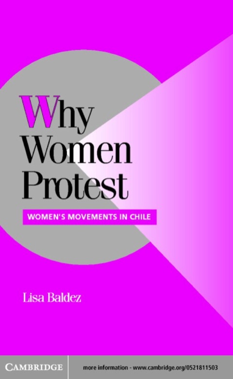 Cover image for book Why Women Protest