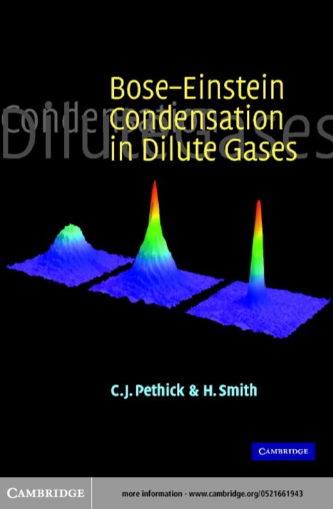 BoseâEinstein Condensation in Dilute Gases 