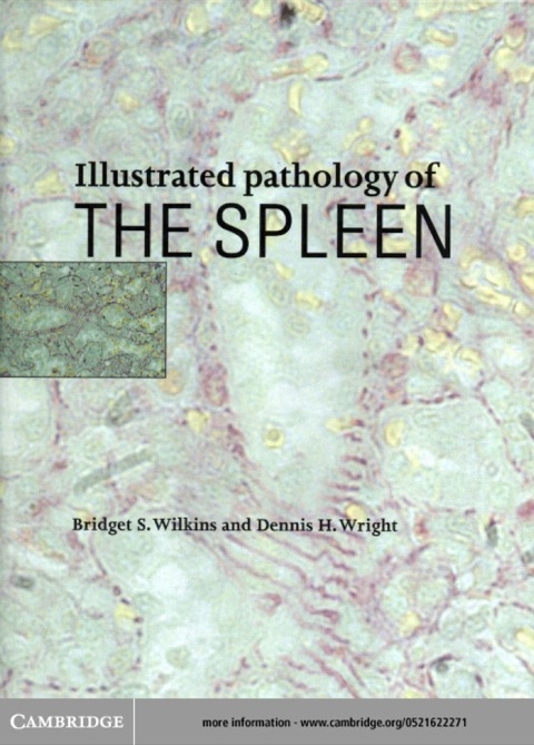 Cover image for book Illustrated Pathology of the Spleen