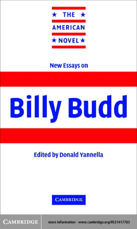 Cover image for book New Essays on Billy Budd