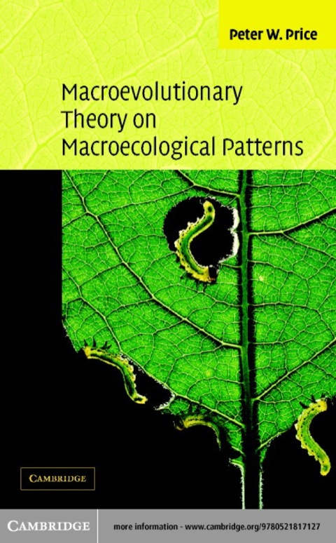 Cover image for book Macroevolutionary Theory on Macroecological Patterns