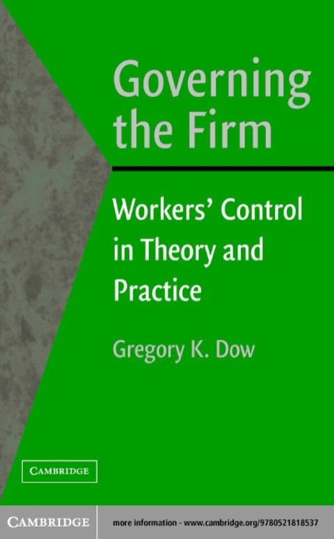 Cover image for book Governing the Firm