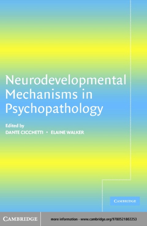 Cover image for book Neurodevelopmental Mechanisms in Psychopathology