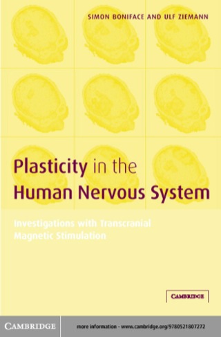 Plasticity in the Human Nervous System