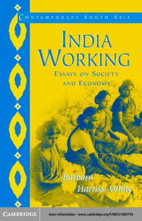 Cover image for book India Working