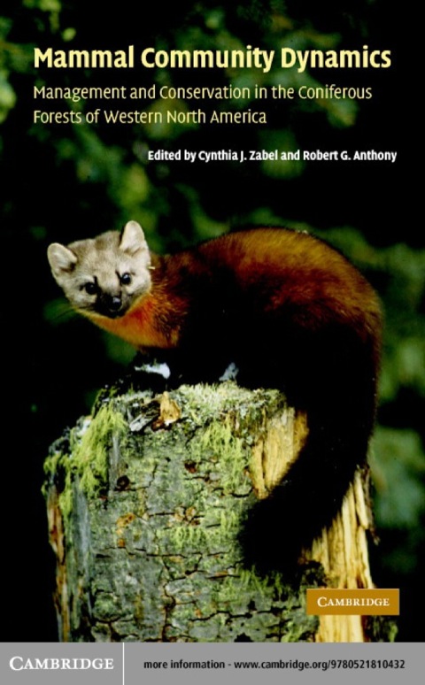 Cover image for book Mammal Community Dynamics