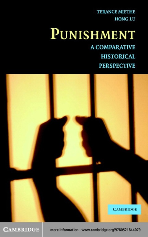 Cover image for book Punishment