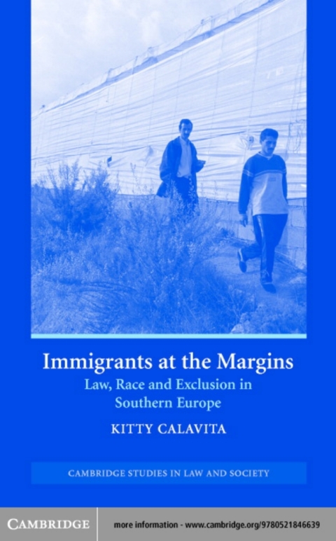 Cover image for book Immigrants at the Margins
