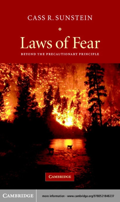 Cover image for book Laws of Fear