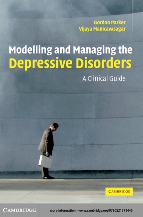 Cover image for book Modelling and Managing the Depressive Disorders