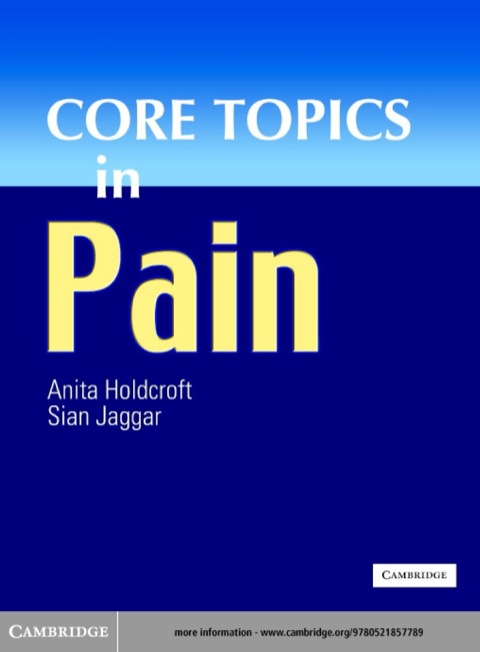 Cover image for book Core Topics in Pain
